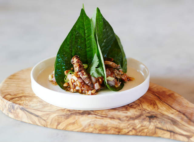 Grub: Introducing the insect-eating revolution in London!