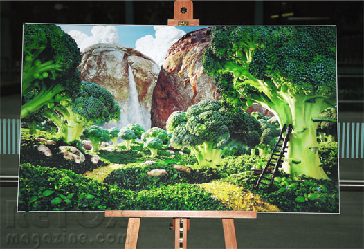 Broccoli Forest by Carl Warner - food landscape exhibited at St Pancras station