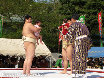Nakizumo baby crying festival, Japan
