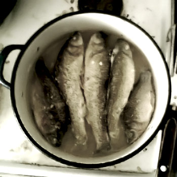 Ready cooked fish